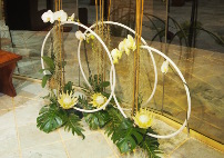 Homily of The Feast of The Holy Trinity 2019